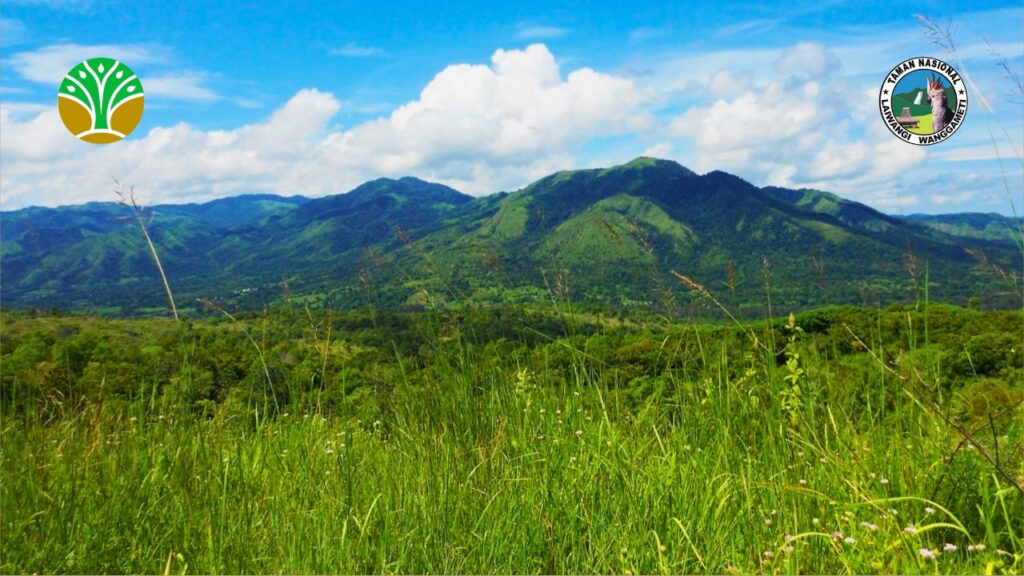Mengenal Taman Nasional Laiwangi Wanggameti