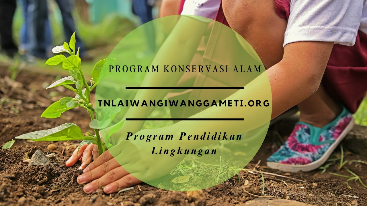 Program Pendidikan Lingkungan Taman Nasional Laiwangi Wanggameti