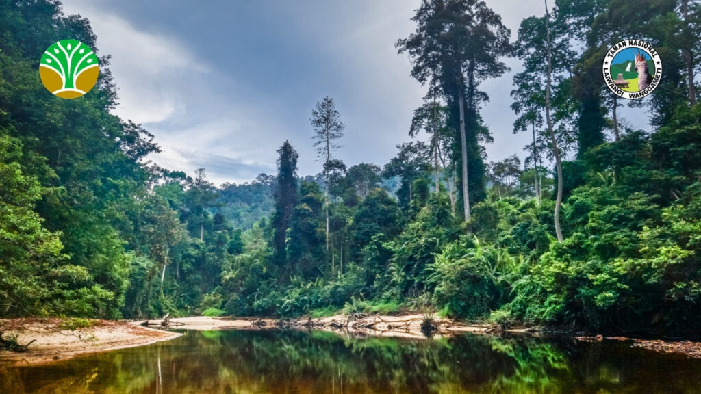 Strategi Perlindungan untuk Kelestarian Alam Indonesia