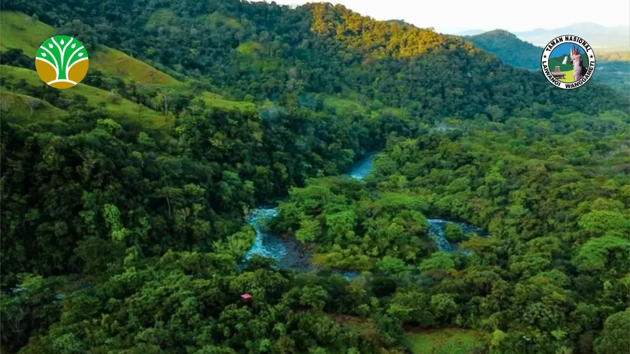 Taman Nasional Kayan Mentarang - Kalimantan Utara