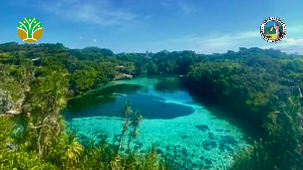 Visi Konservasi Taman Nasional Laiwangi Wanggameti
