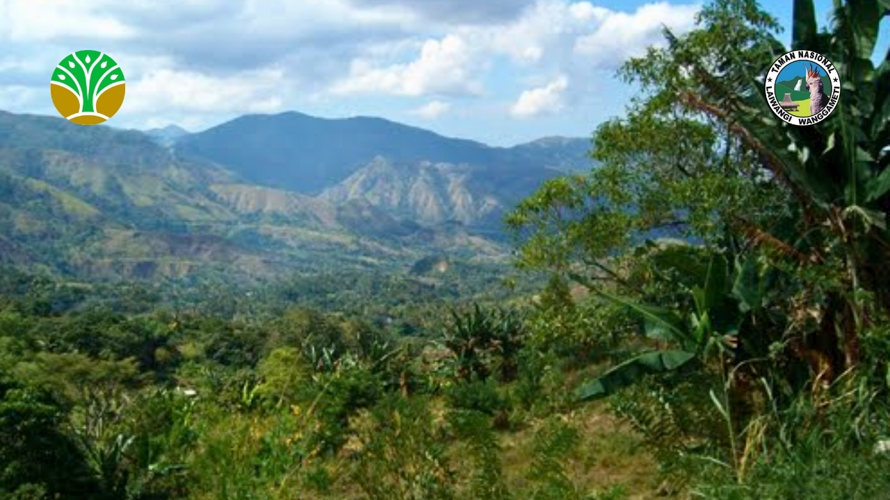 Zona Inti dan Zona Rimba